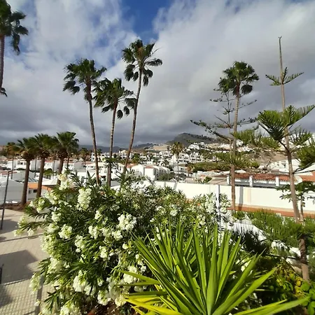 Island Village Heights * Costa Adeje (Tenerife)