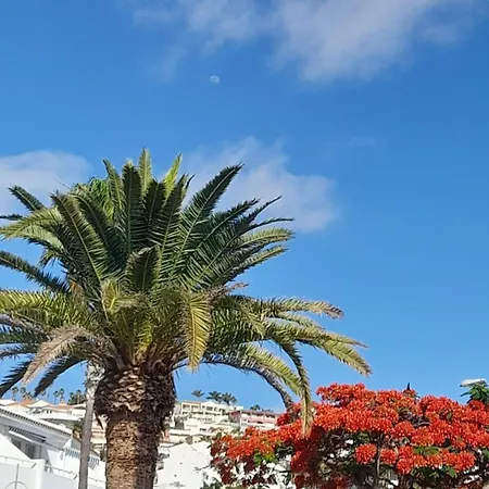 岛村高地公寓