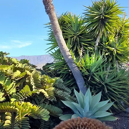 Island Village Heights Costa Adeje (Tenerife)